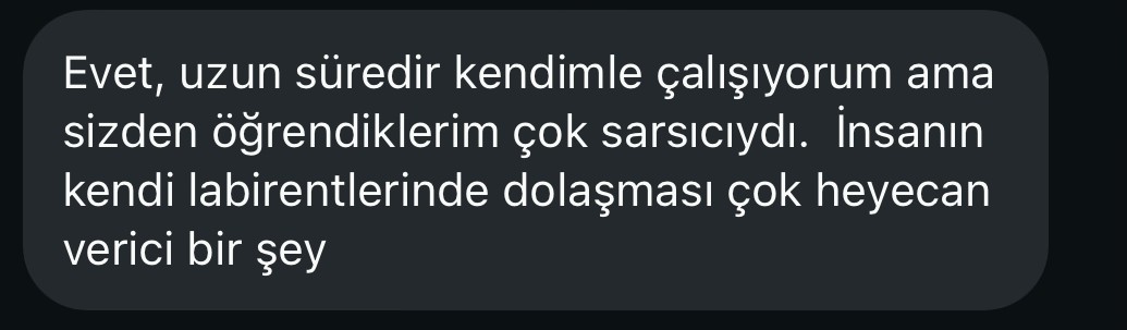 Katılımcı mesajı: Kendimle çalışıyorum ama sizden öğrendiklerim çok sarsıcıydı; kendi labirentlerimde dolaşmak heyecan verici.